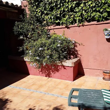 Viviendas Turísticas Arrayanes En El Centro Y Con Encanto