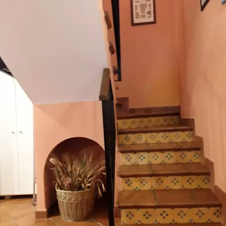 Casa rural Viviendas Turísticas Arrayanes En El Centro Y Con Encanto *