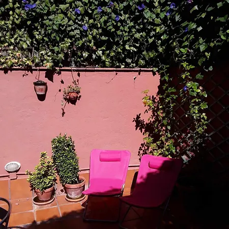 Viviendas Turísticas Arrayanes En El Centro Y Con Encanto *